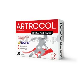 Artrocol 60 kapsułek/Wspomaga pracę stawów