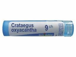 BOIRON Crataegus oxyacantha 9CH 4 g