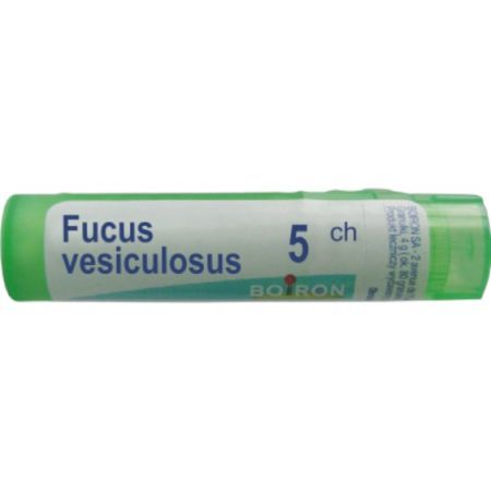 BOIRON  Fucus vesiculosus 5CH