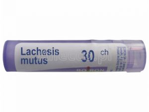 BOIRON Lachesis mutus 30CH 1 g