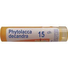 BOIRON Phytolacca decandra 15CH 4 g