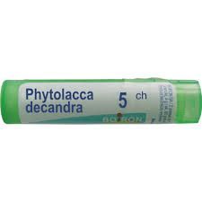 BOIRON Phytolacca decandra 5CH 4 g