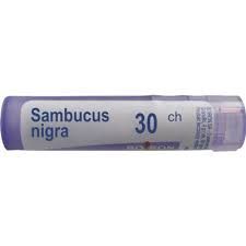 BOIRON Sambucus nigra 30CH 4 g