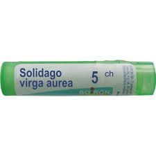 BOIRON Solidago virga aurea 5CH 4 g