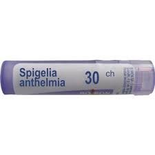 BOIRON Spigelia anthelmia 30CH 4 g