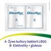 Dicoflor Elektrolity (6 porcji) 12 saszetek z proszkiem do sporządzenia roztworu