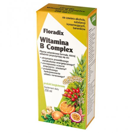 Floradix Witamina B Complex  płyn 250 ml