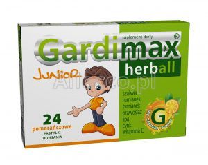 Gardimax Herball Junior (smak pomarańczowy) 24 pasty.