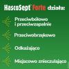 Hascosept Forte aerozol 30 ml / Ostry ból gardła