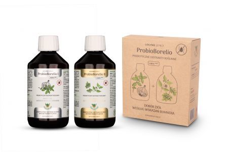 JOY DAY EKO ProbioBorelio probiotyczny ekstrakt roślinny 2 x 300 ml